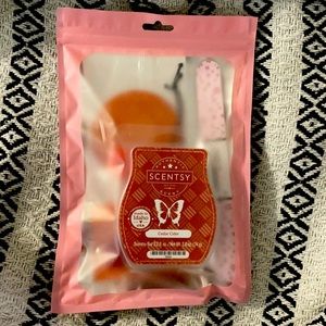 Scentsy cedar cider bundle 💕
